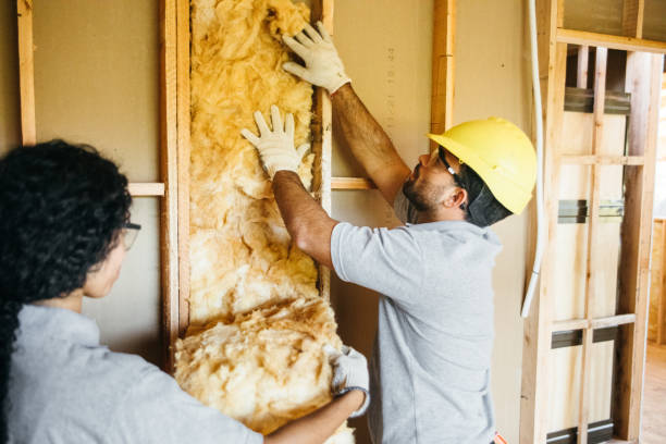 Best Blown-In Insulation  in Marion, TX